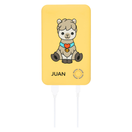 Powerbank juan